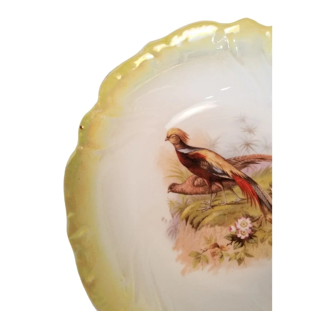 Vintage Porcelain RCW Bavaria Serving Bowl Pheasant Game Bird Yellow Lustreware